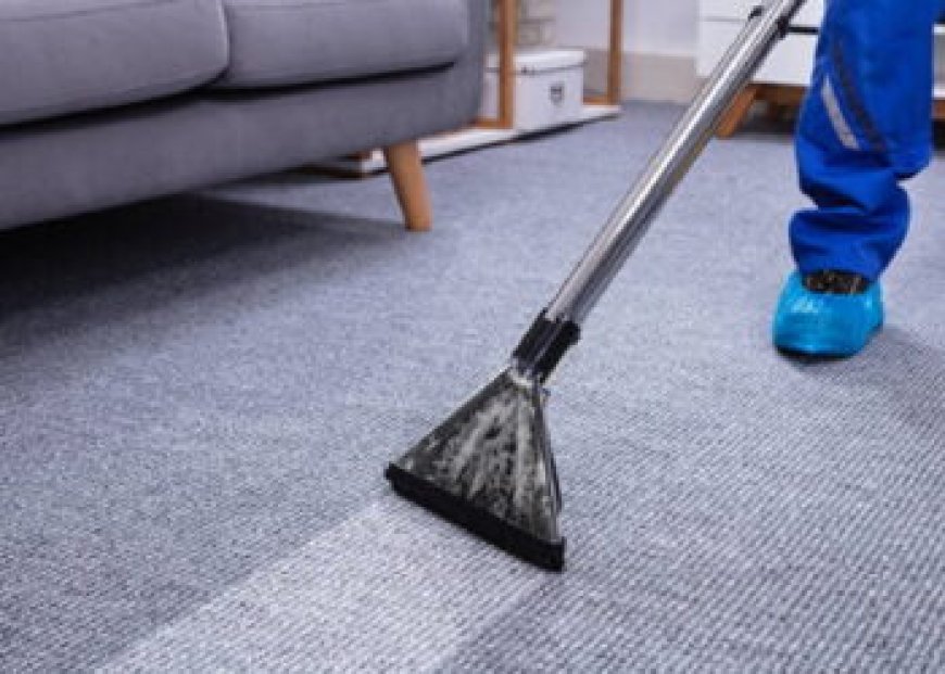 Carpet Cleaning Services for Hotels: What to Look For