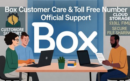 Box Customer Care & Toll Free Number – Official Support