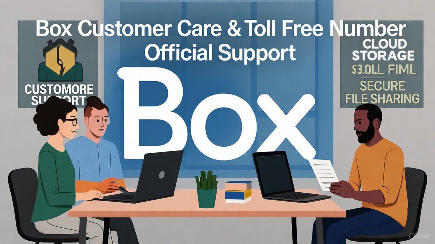 Box Customer Care & Toll Free Number – Official Support